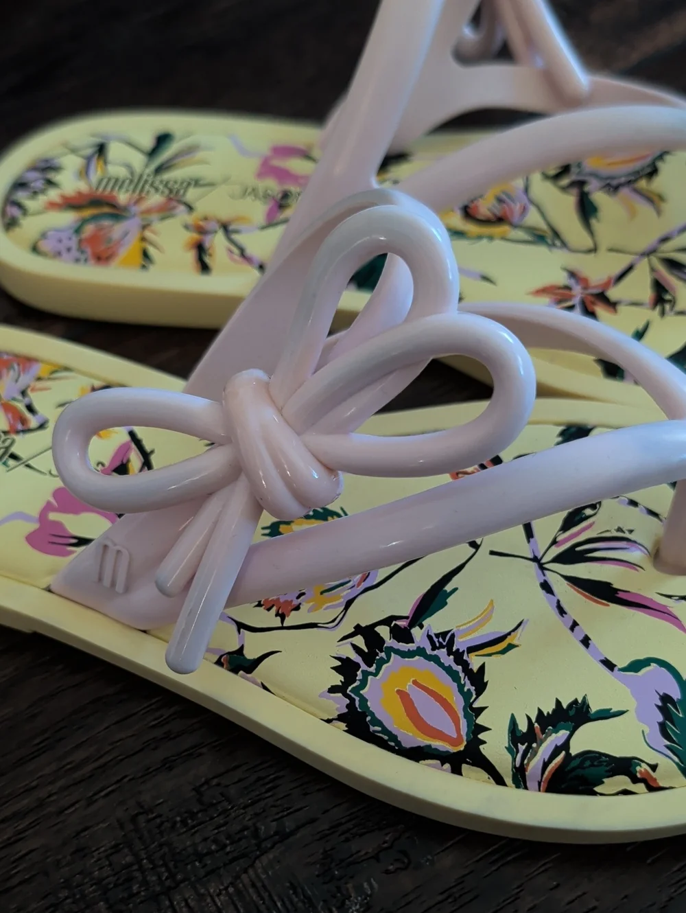 Melissa / Jason Wu Flip Flop Sandals